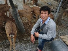 -鹿境梅花鹿生态园区