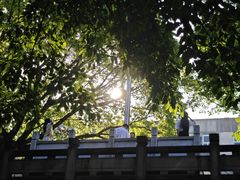 -西南政法大学(沙坪坝校区)