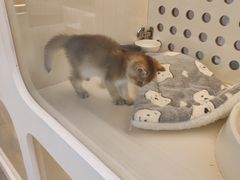 -comecome来吧宠物(奥克斯中心店)