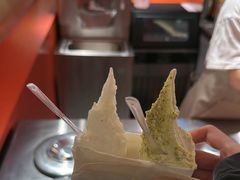 -野人先生现做冰淇淋(北京王府井东方新天地店)