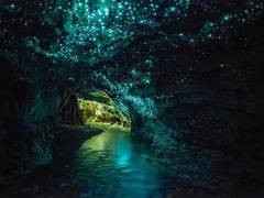 -怀托摩萤火虫洞