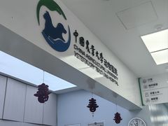 -中国农业大学动物医院
