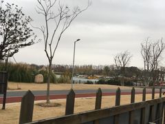 -上海长兴岛郊野公园