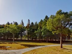 -上海长兴岛郊野公园