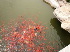 -西海子公园