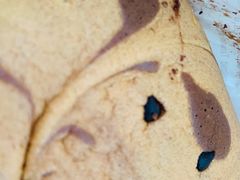 -南洋大师傅(津塘人人乐店)