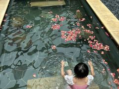 -苏州湾·王焰温泉
