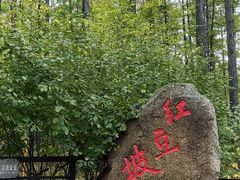 -莫尔道嘎国家森林公园