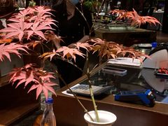 -南堂館川菜文化餐厅(天府店)