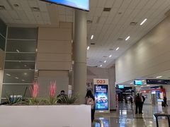 -达拉斯 沃斯堡国际机场