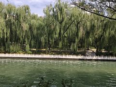 -南长河公园