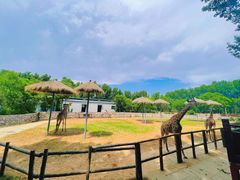 -北京野生动物园