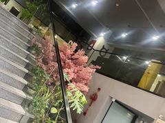 -猫窝棋牌(尚大国际店)