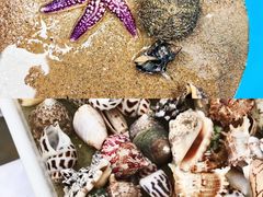 -巧克力渔家.小船海鲜胶东菜(万平口店)