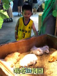 -酷嗒动物文化乐园(cutezoo西溪乐天城店)