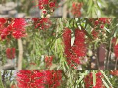 -沙河三洞古桥公园