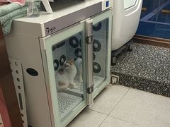 -FAELING PETS美天灵宠物(富力广场店)