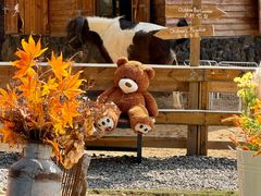 -HERRE·FARM 赫尔露营农场·团建聚会包场