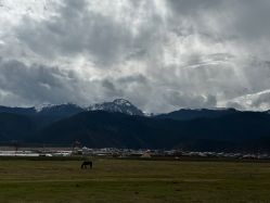 -纳帕海依拉草原