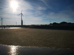 -碧海金沙