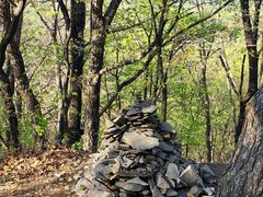 -帽儿山国家森林公园