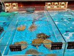 -艳阳天·非遗楚菜(武汉客厅店)