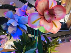 -渡娘火锅(大兴大悦春风里店)