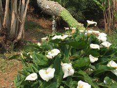 -云南民族大观园