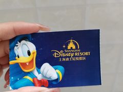 -上海迪士尼度假区
