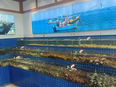 -仙螺岛海鲜自助餐厅(总店)