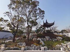 -上海滨江森林公园