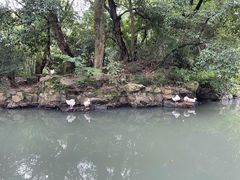 -兰亭风景区