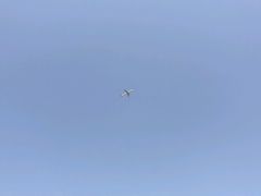 -北京国家会计学院