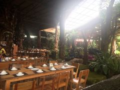 -绿光森林餐厅