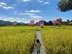 -满記土窑烧鷄波浪山莊