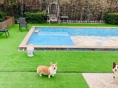 -汪说喵讲宠物乐园宠物酒店(红星美凯龙店)