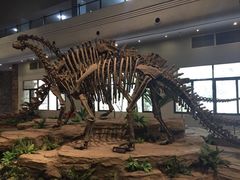 -自贡恐龙博物馆