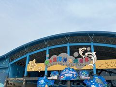 -泉城欧乐堡海洋极地世界