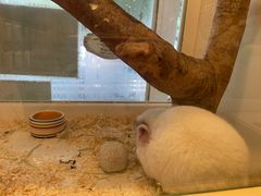 -龙猫仔乐园(惠福东路店)