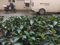 -湖锦酒楼·旗舰店(三阳总店)
