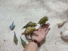 -上海大自然野生昆虫馆