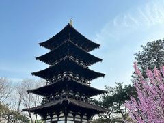 -北京世界公园