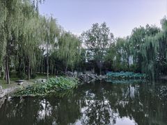 -北京国家会计学院