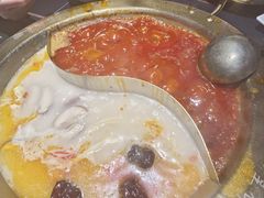 -蜀九香火锅(彩虹店)