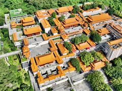 -深圳仙湖植物园
