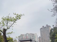 -黔灵山公园-南门售票处