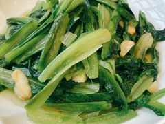 清炒油麦菜-谢先生酒店·椒宴集(沙湖店)
