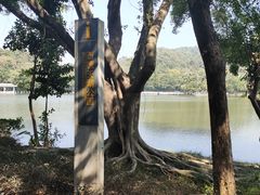 -西樵山风景名胜区-天湖公园