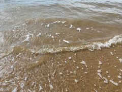 -金梦海湾浴场