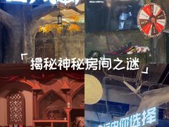-暴风岛沉浸式体验馆(百联世纪店)